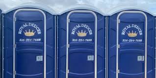 Best Portable Toilet Rental for Emergency Services  in Lake Leann, MI